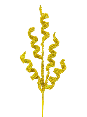 30" Beaded Curly Spray: Yellow - 63716YW