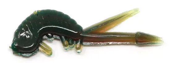 Clam Skudi Xl
