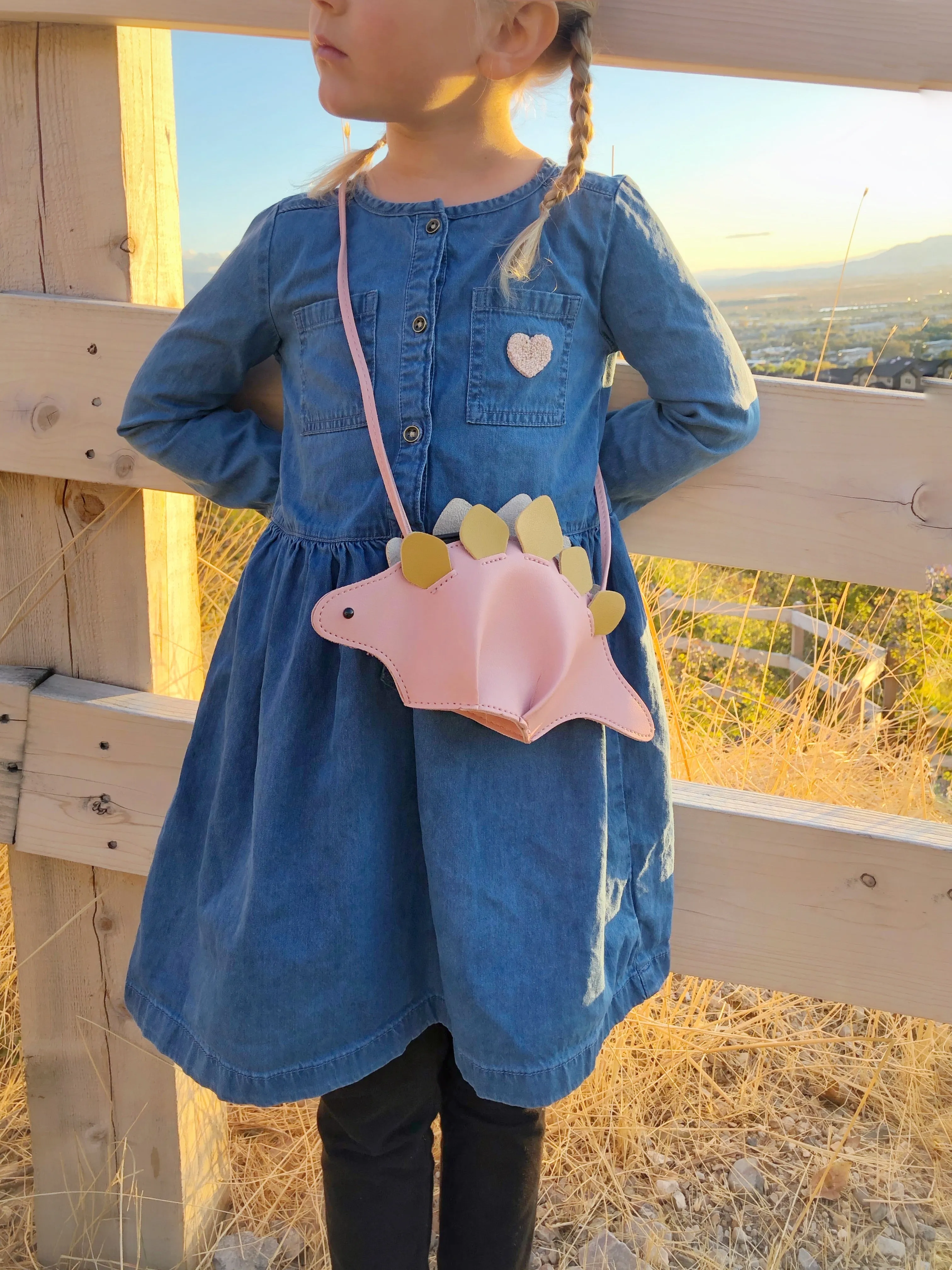Dinosaur Bag