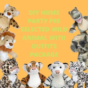 DIY Home Party Packages & Outfits Pre-Selected
