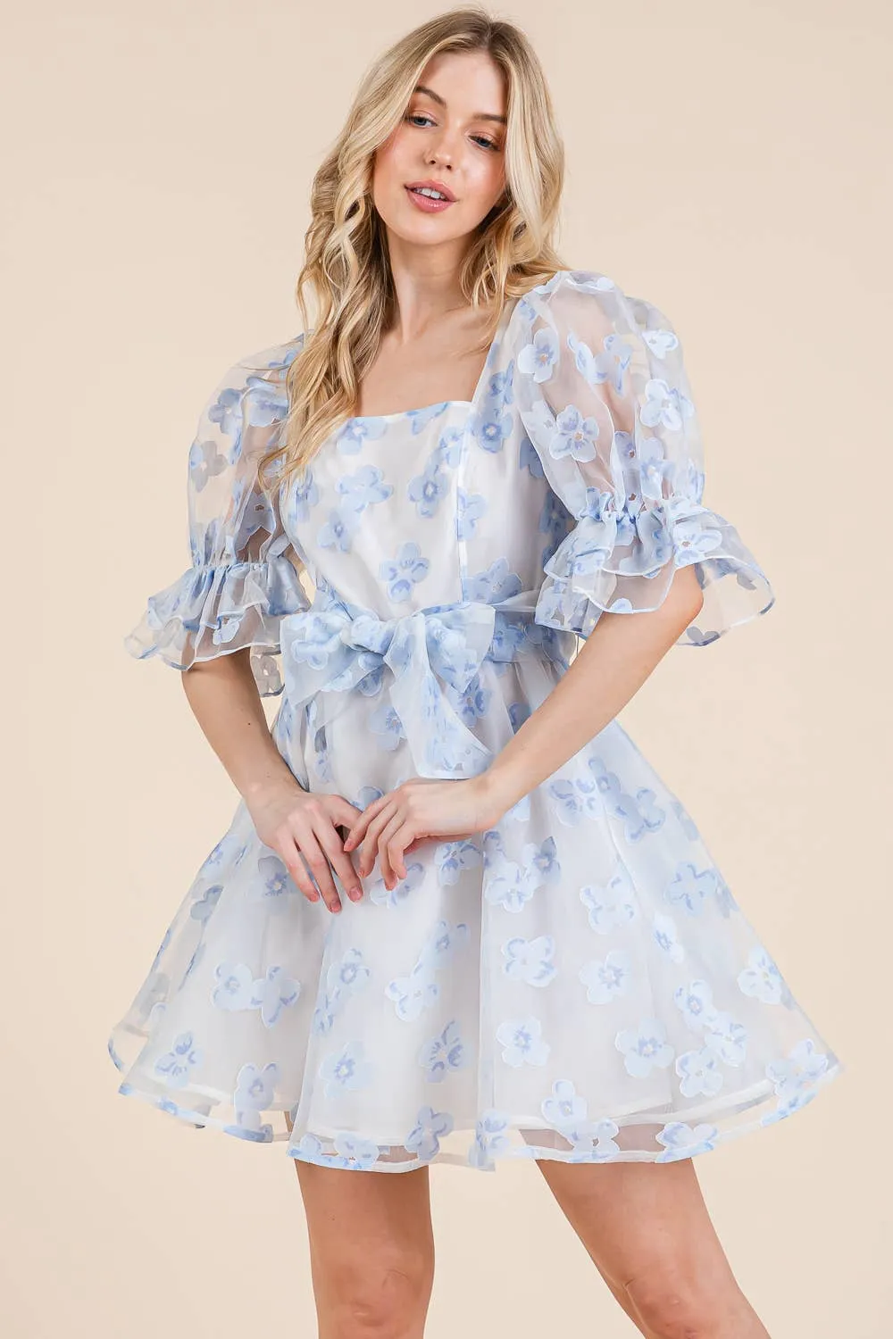 Floral Organza Fit & Flare Mini Dress, MD51584.