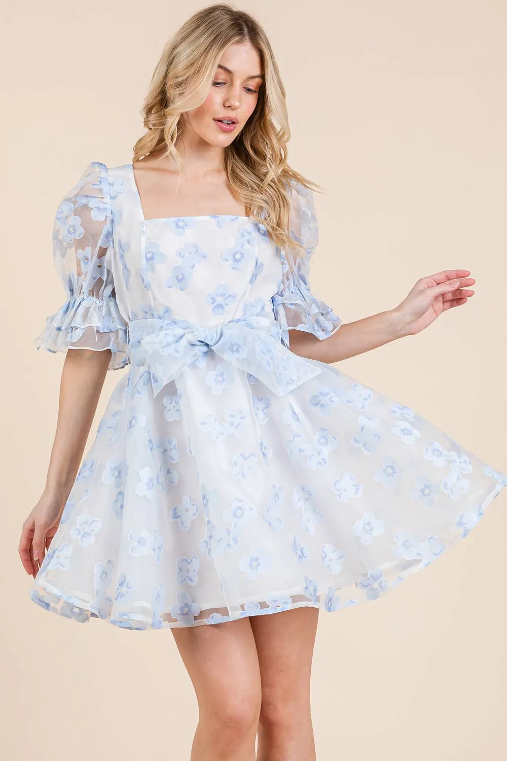 Floral Organza Fit & Flare Mini Dress, MD51584.
