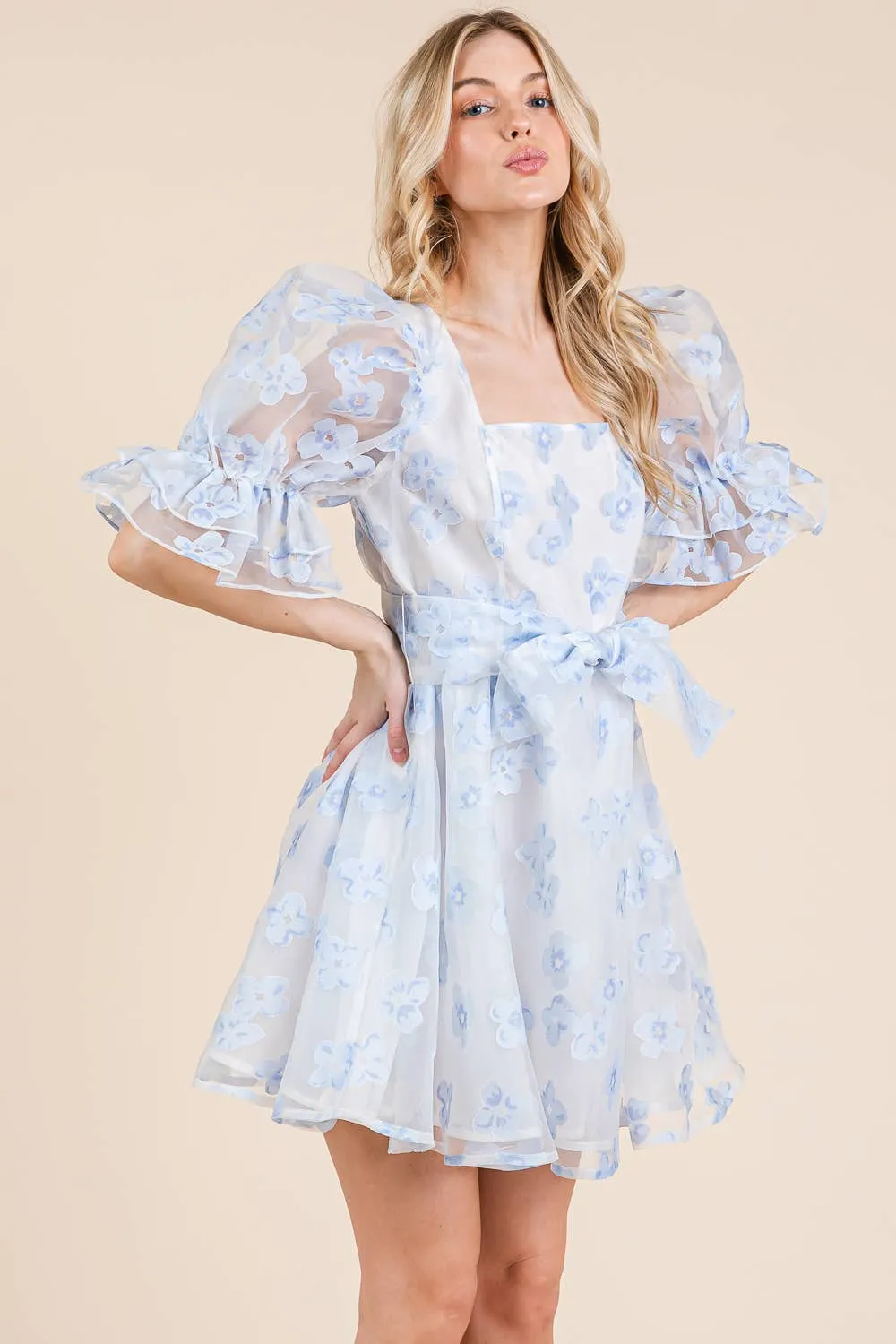Floral Organza Fit & Flare Mini Dress, MD51584.