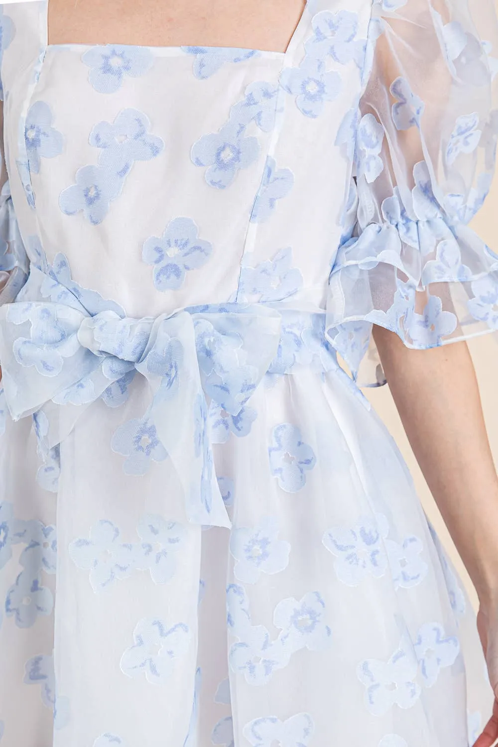 Floral Organza Fit & Flare Mini Dress, MD51584.