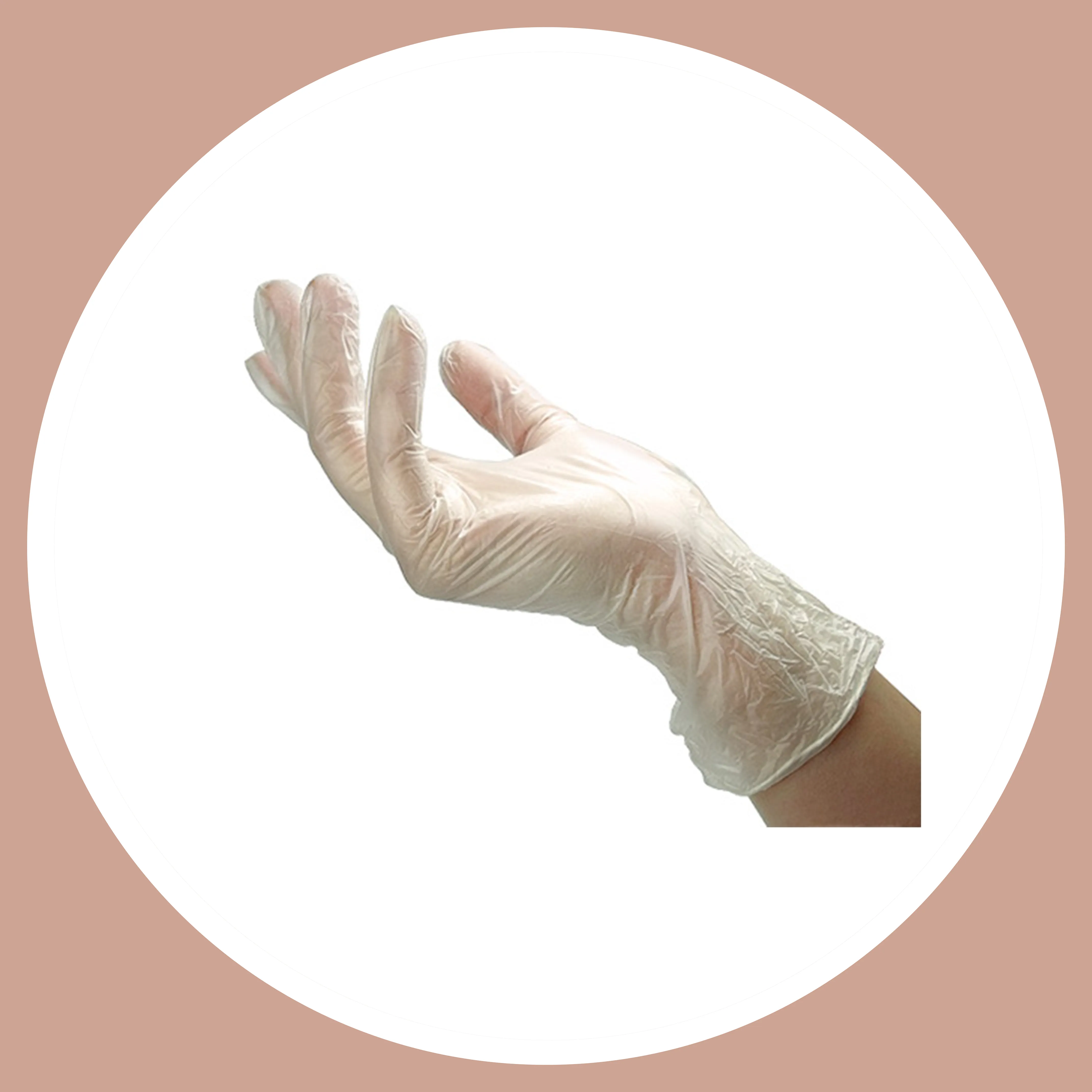 Medium Vinyl Gloves