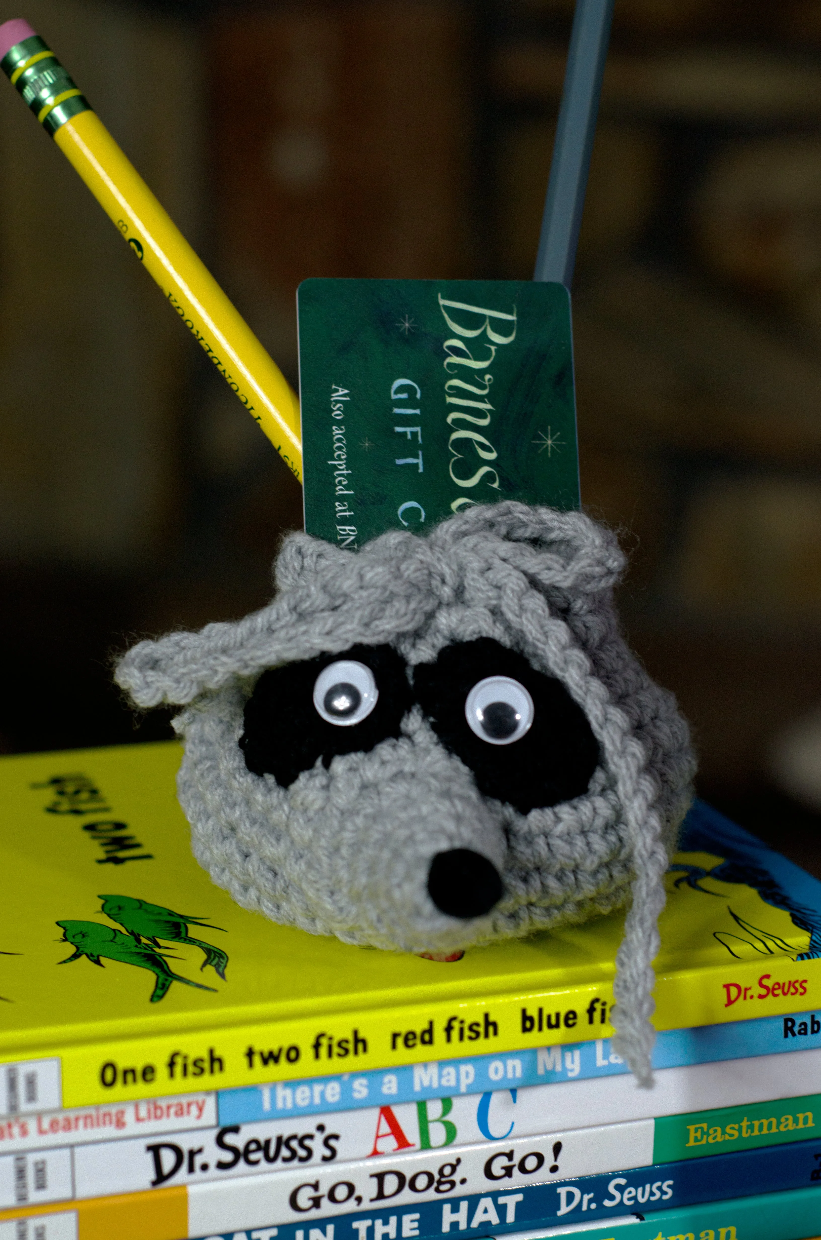Raccoon Goody Bag Crochet Pattern