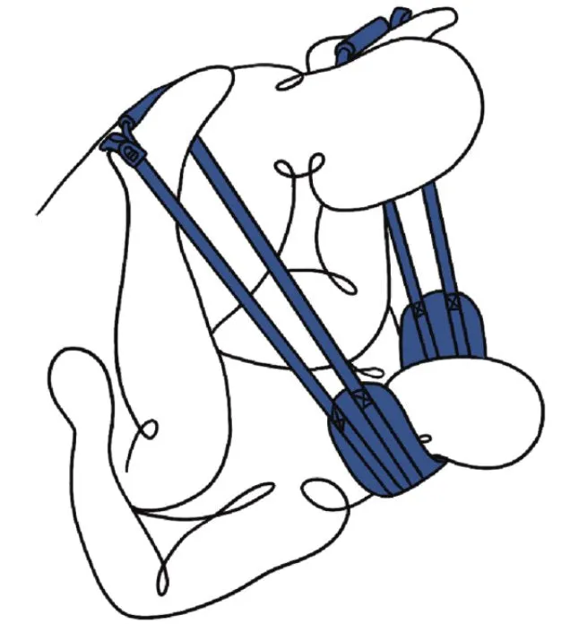 Sportsheets Pivot Deluxe Doggie Strap
