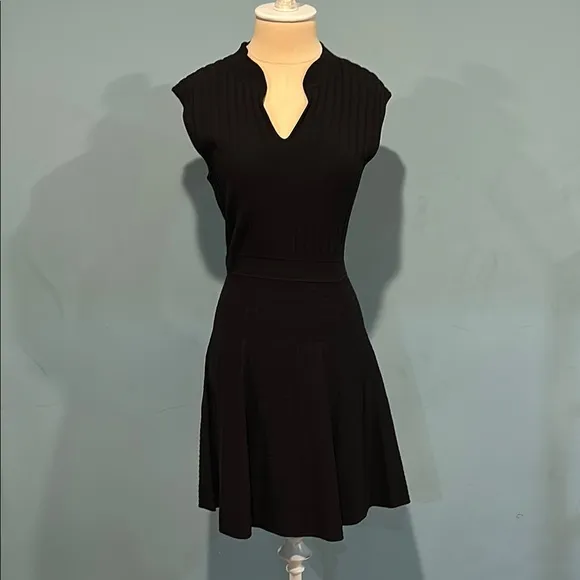 Ted Baker London Sharnn Stitch Detail Dress size 6 Black Skater Stretch