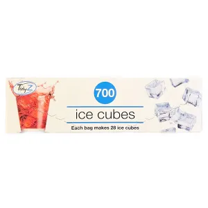 TidyZ 700 Ice Cubes Bag