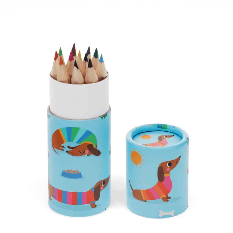 Tube of Colouring Pencils - Sunny Sausage Dog