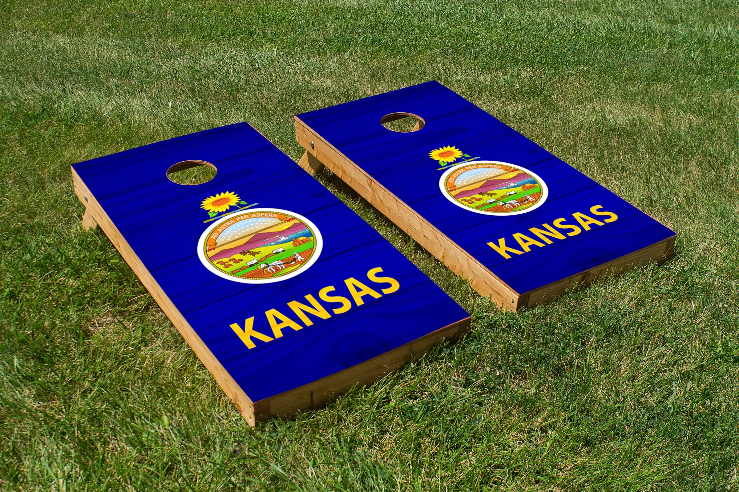 Wood Grain Kansas State Flag